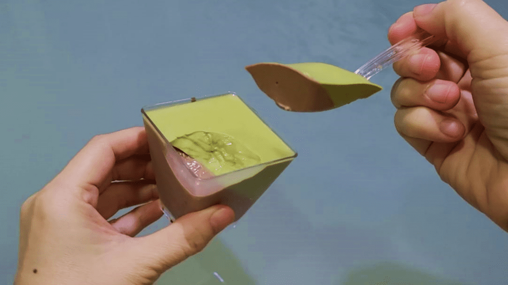 抹茶巧克力布丁 Matcha & Chocolate Pudding